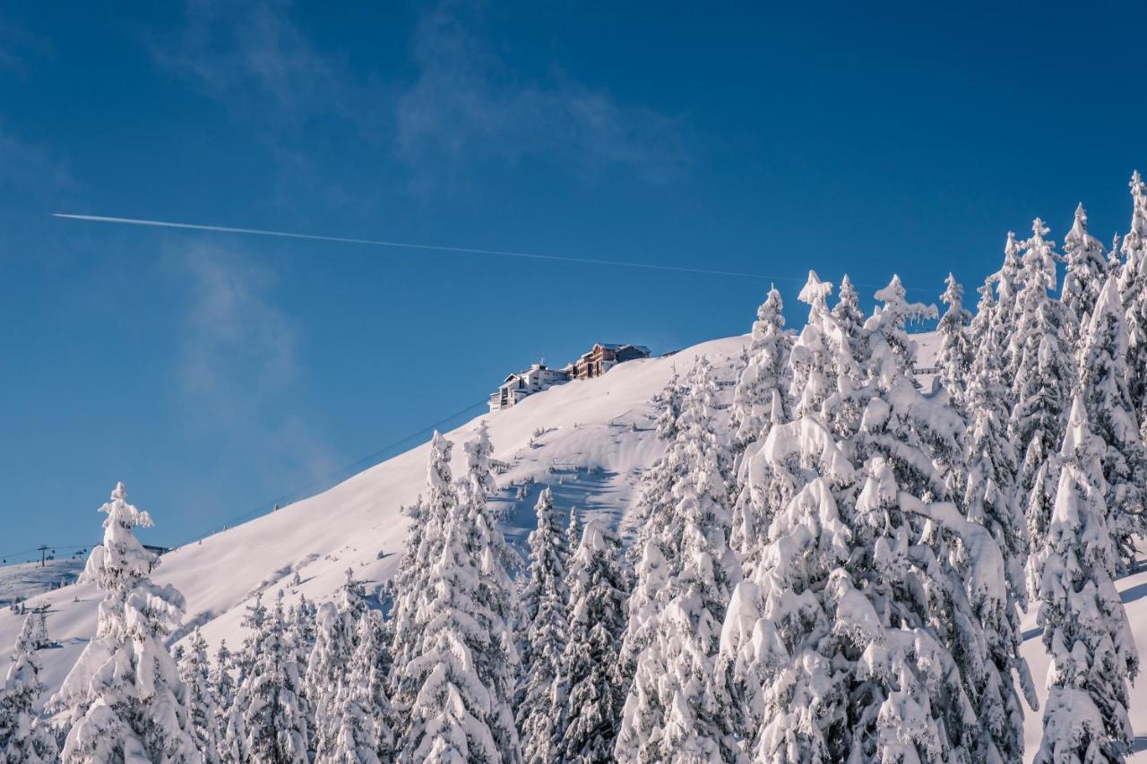 The Steinbock Lodge With Garden And Bbq Zell am See Buitenkant foto